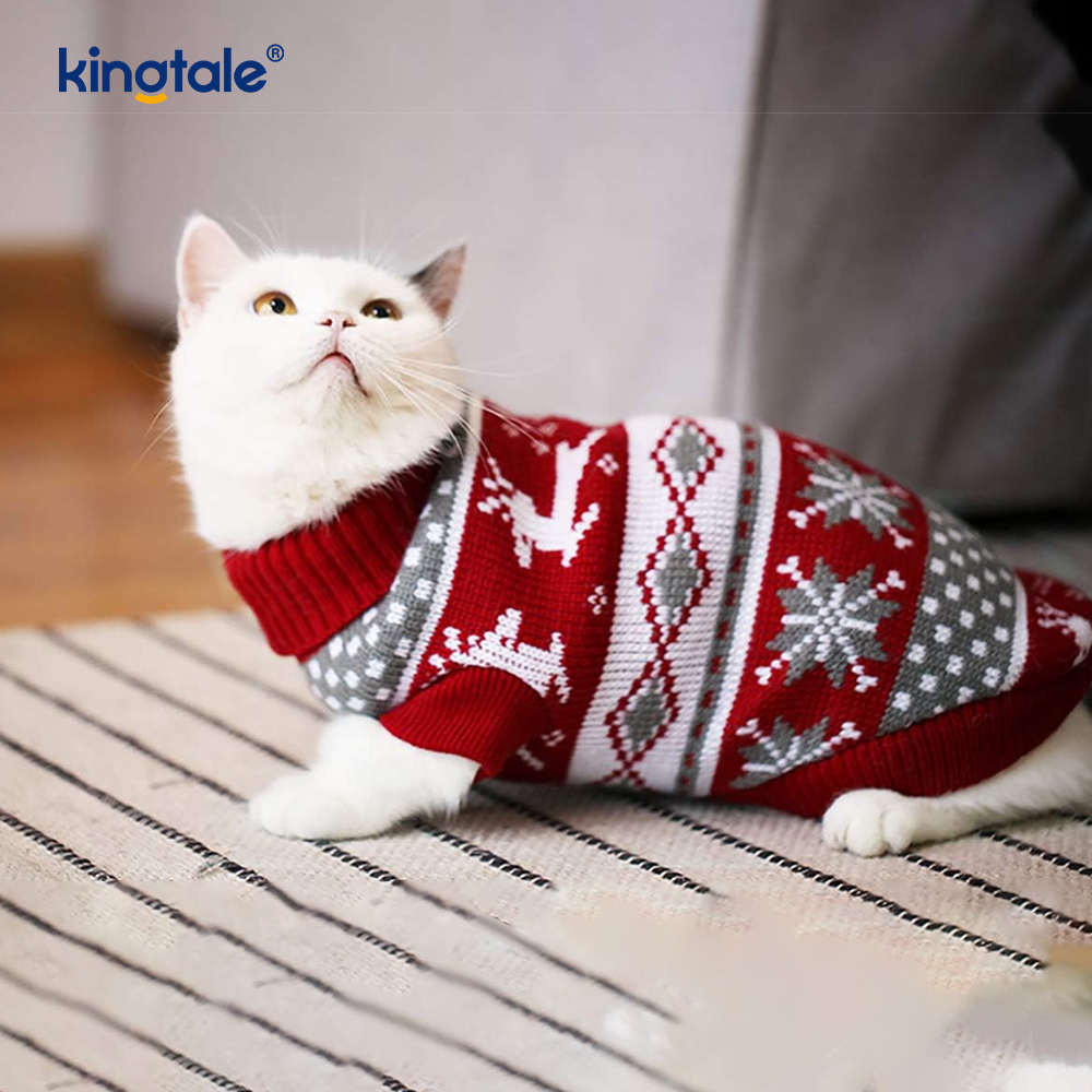 Sweater Binatang