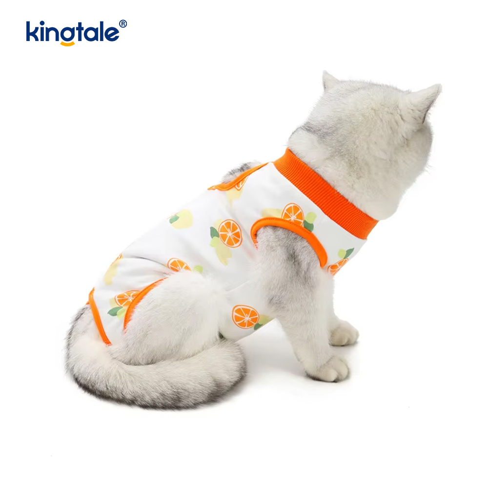Pakaian Pemulihan Anjing