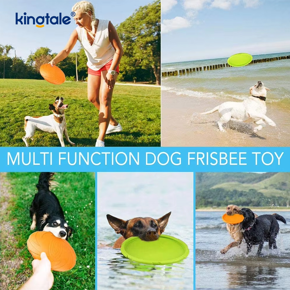 Frisbee haiwan kesayangan