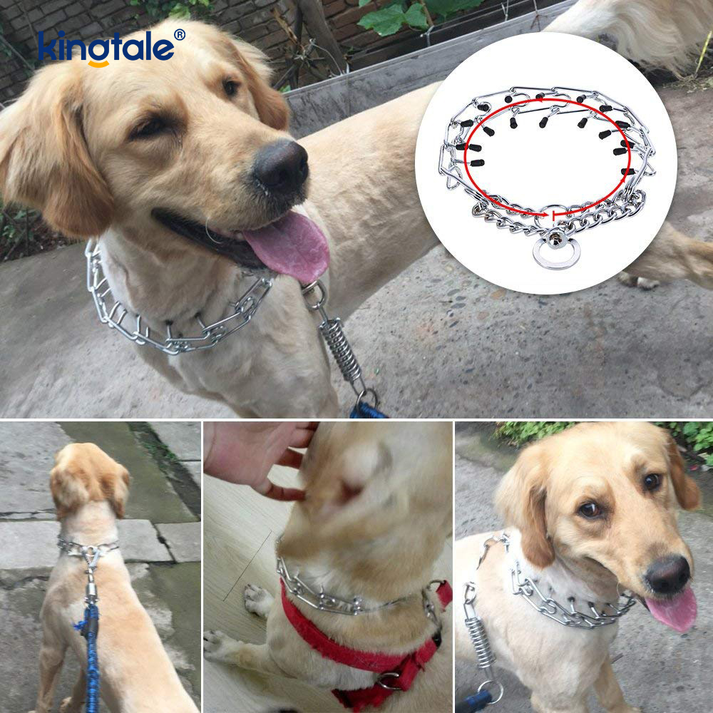 Kolar Tercekik Cubit Binatang Keluli Karbon Kolar Latihan Anjing Serampang Logam