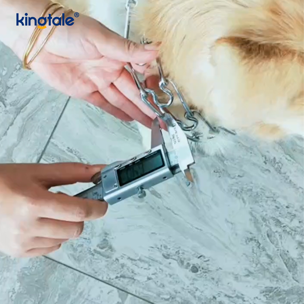 Kolar Tercekik Cubit Binatang Keluli Karbon Kolar Latihan Anjing Serampang Logam