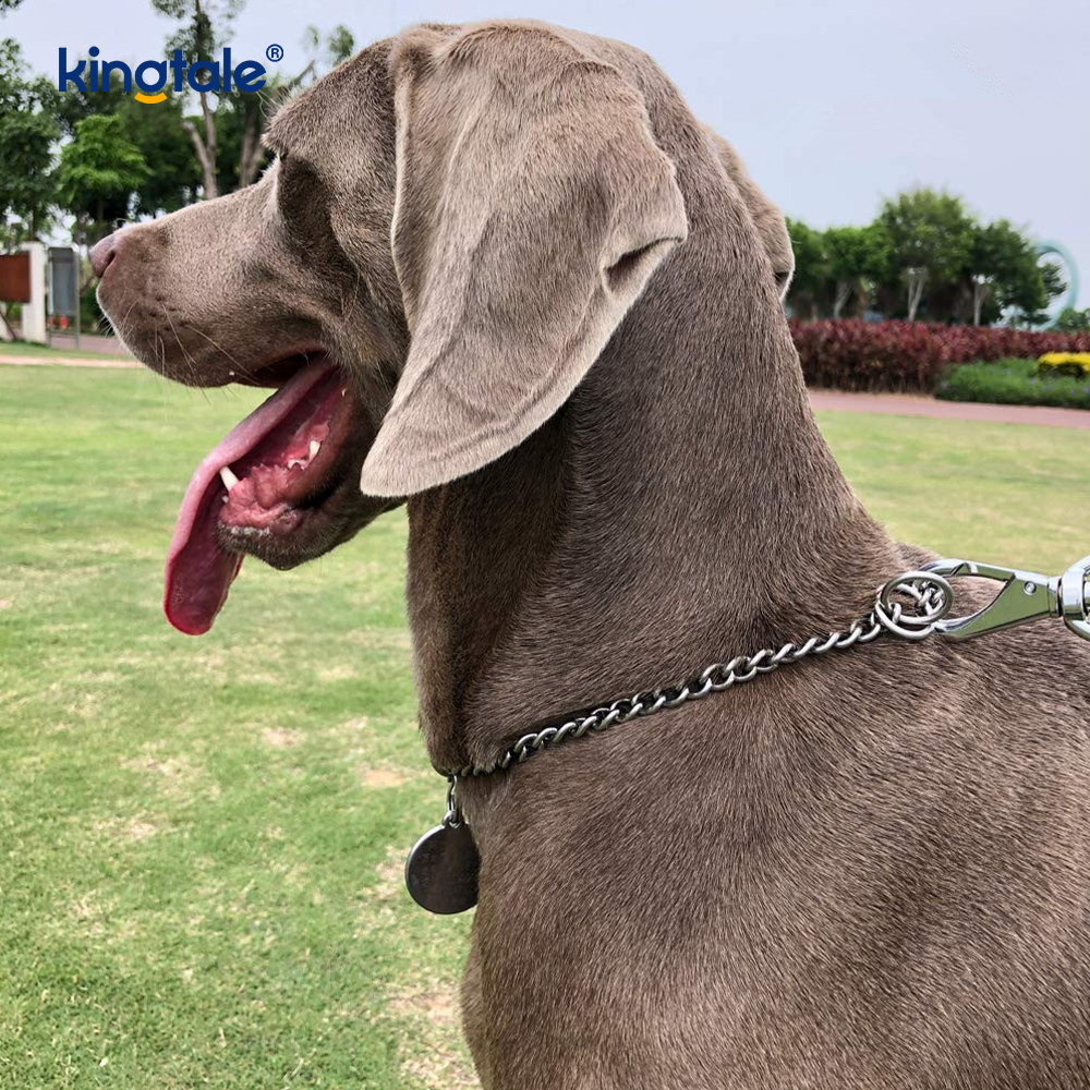 Metal Training Dog Choke Collar Slip P Rantaian Berat Rantaian Untuk Anjing