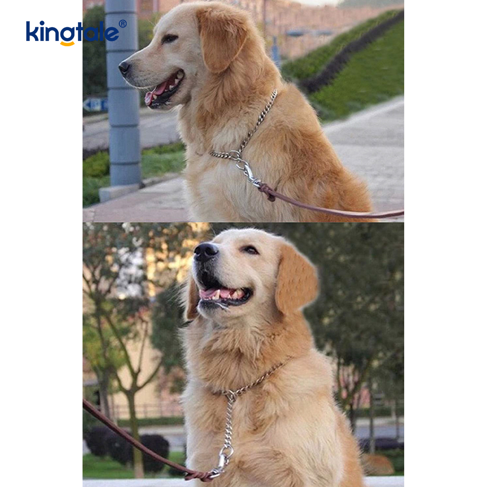 Metal Training Dog Choke Collar Slip P Rantaian Berat Rantaian Untuk Anjing