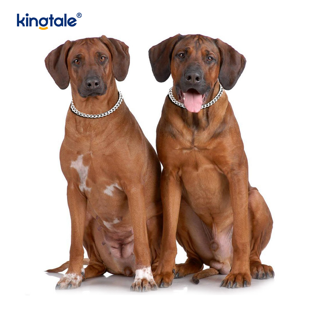 Metal Training Dog Choke Collar Slip P Rantaian Berat Rantaian Untuk Anjing