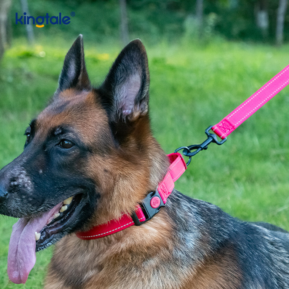 Tiada Tarik Reflektif Kolar Anjing Martingale Nylon Boleh Laras Untuk Anjing S M A L L