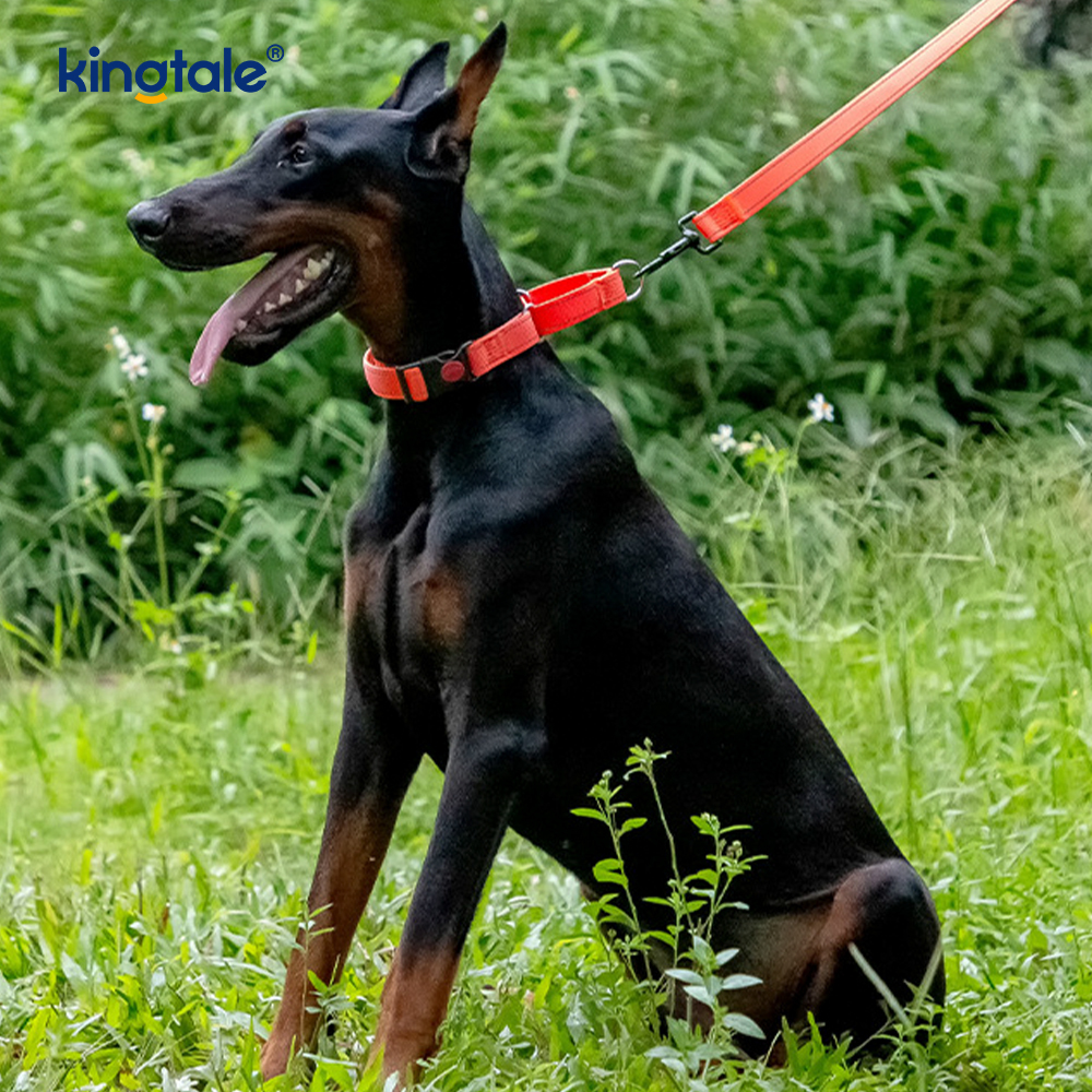 Tiada Tarik Reflektif Kolar Anjing Martingale Nylon Boleh Laras Untuk Anjing S M A L L