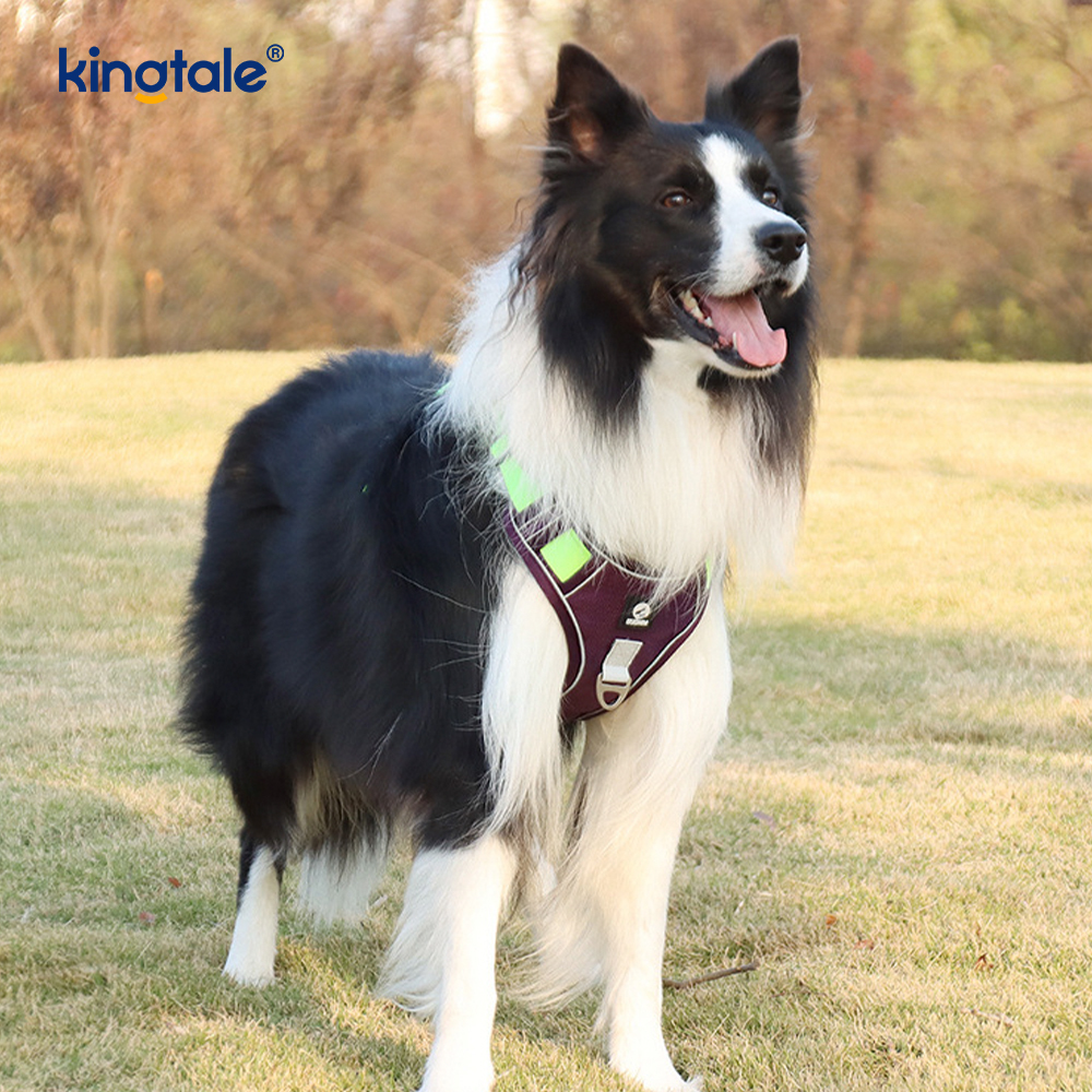 Nylon Rivet Reflektif Boleh Laras Breathable Sport Dog Pet Harness