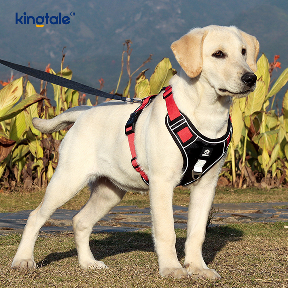 Nylon Rivet Reflektif Boleh Laras Breathable Sport Dog Pet Harness
