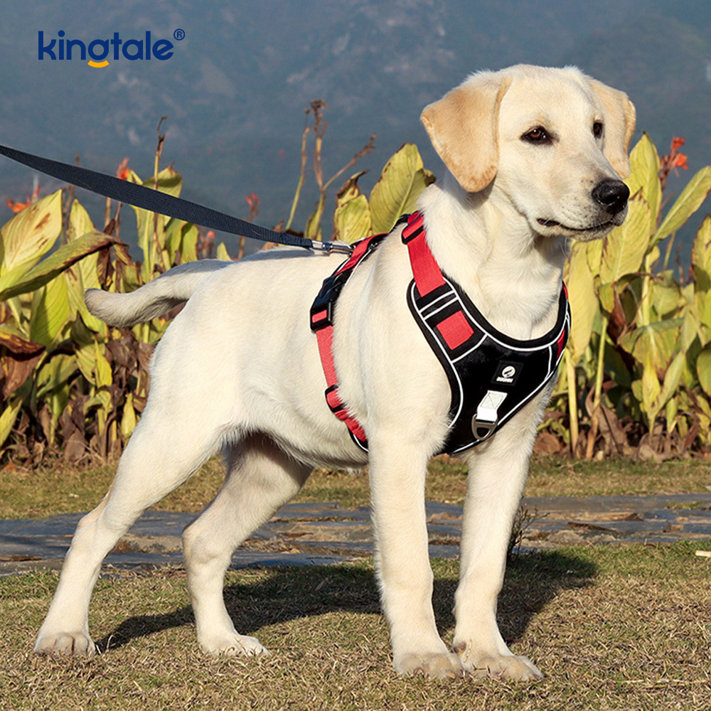 Nylon Rivet Reflektif Boleh Laras Breathable Sport Dog Pet Harness