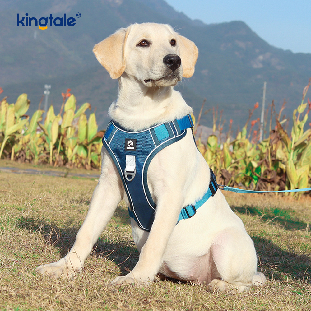 Nylon Rivet Reflektif Boleh Laras Breathable Sport Dog Pet Harness