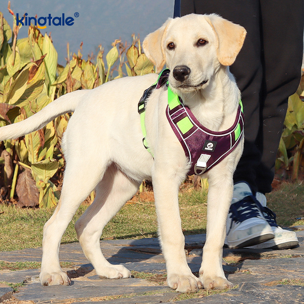 Nylon Rivet Reflektif Boleh Laras Breathable Sport Dog Pet Harness