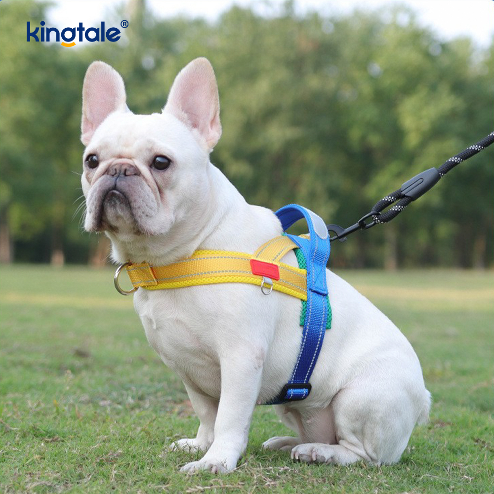 Tersuai Borong Boleh Laras Nilon Reflektif Abah-abah Anjing Haiwan Peliharaan Set Paling Rendah