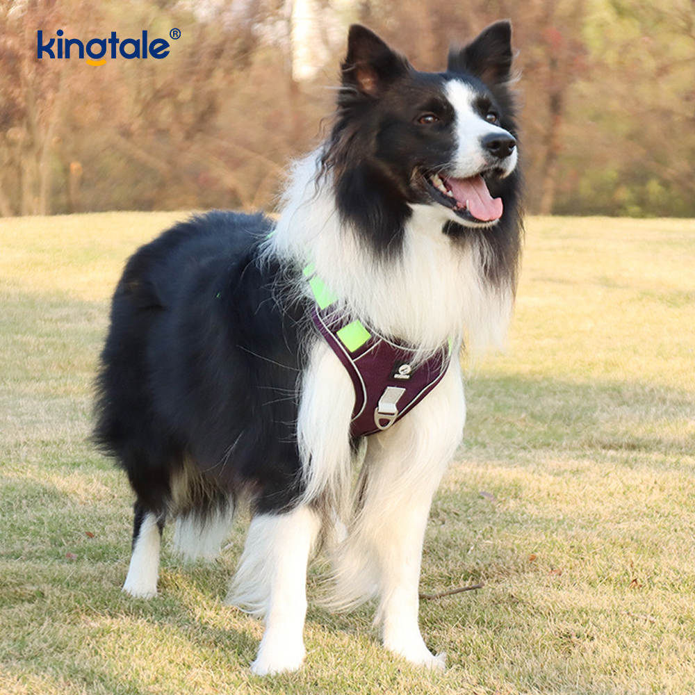 Nylon Rivet Reflektif Boleh Laras Bernafas Sport Harness Dengan Tali Anjing