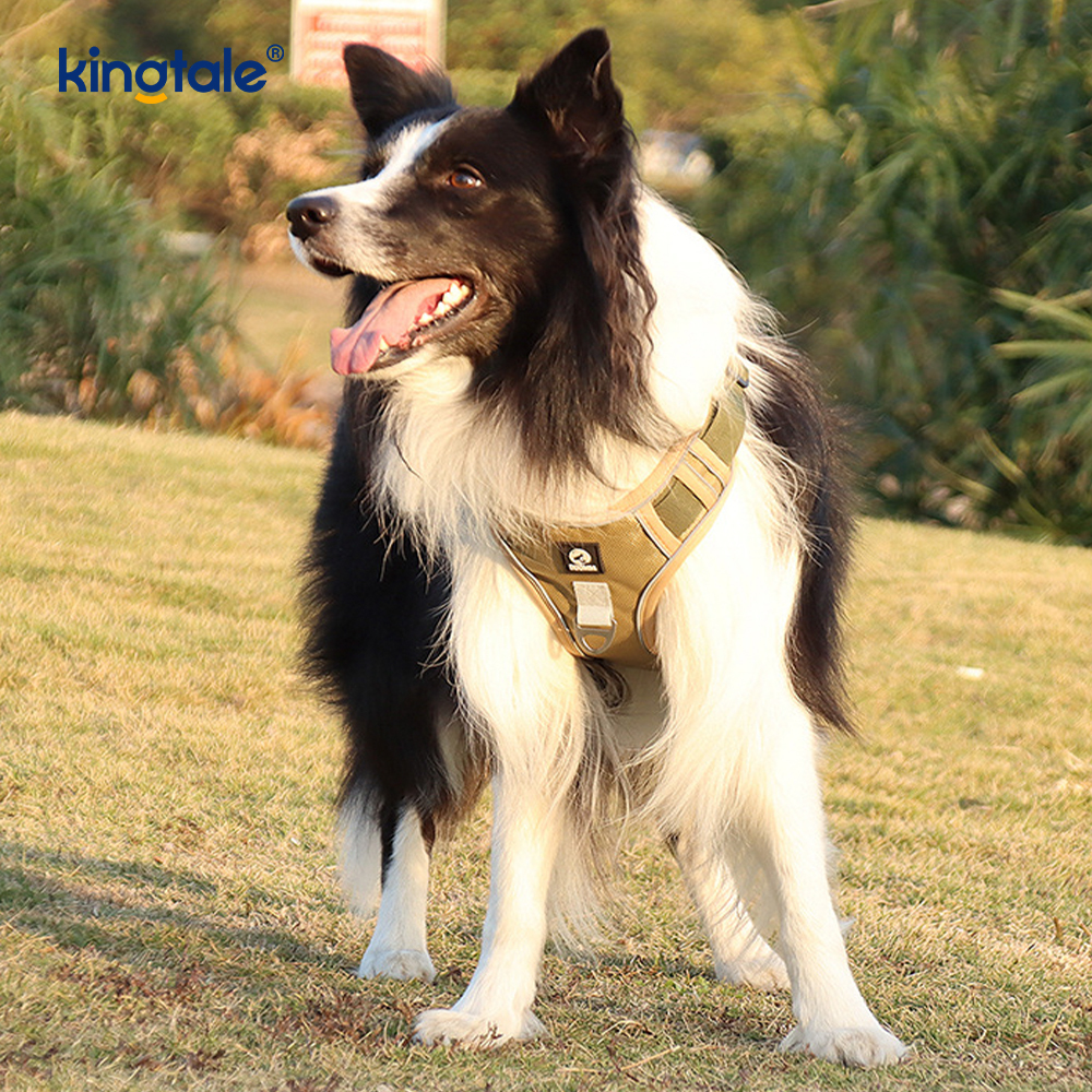 Nylon Rivet Reflektif Boleh Laras Bernafas Sport Harness Dengan Tali Anjing