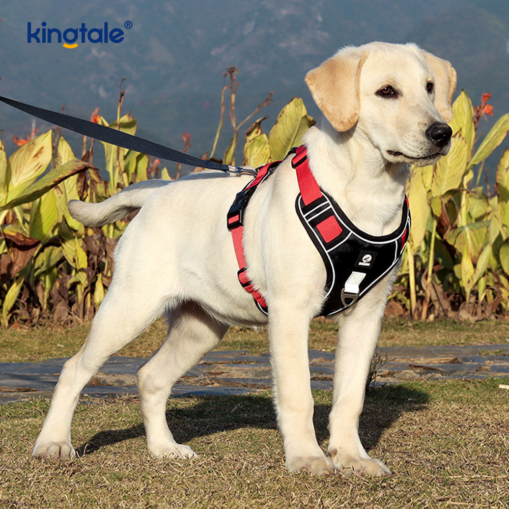 Nylon Rivet Reflektif Boleh Laras Bernafas Sport Harness Dengan Tali Anjing