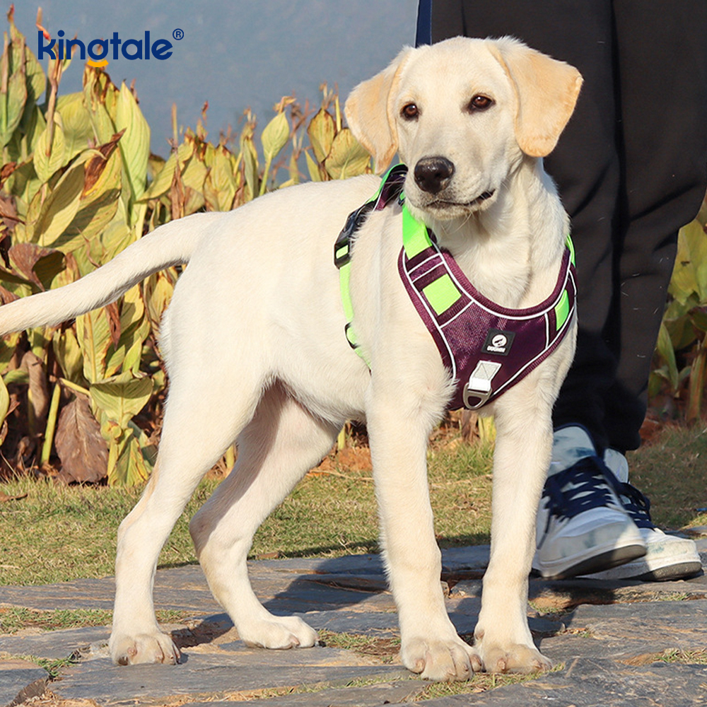 Nylon Rivet Reflektif Boleh Laras Bernafas Sport Harness Dengan Tali Anjing