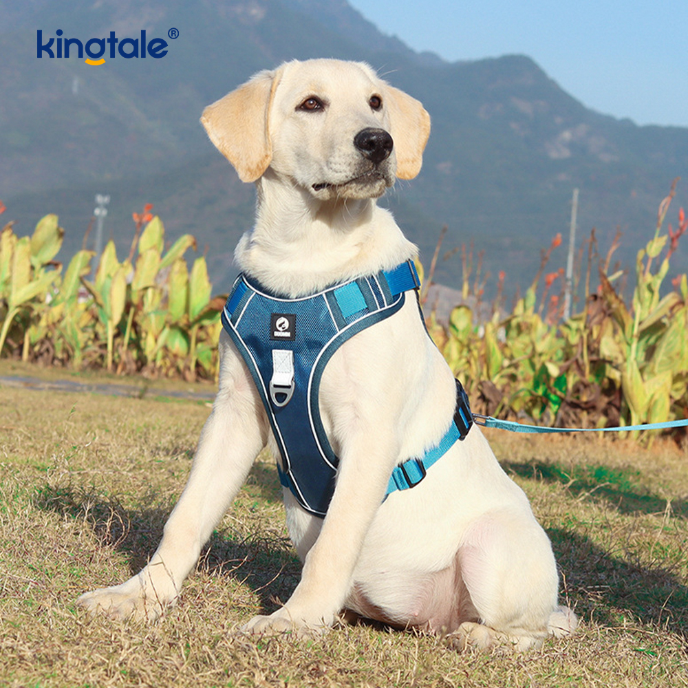 Nylon Rivet Reflektif Boleh Laras Bernafas Sport Harness Dengan Tali Anjing