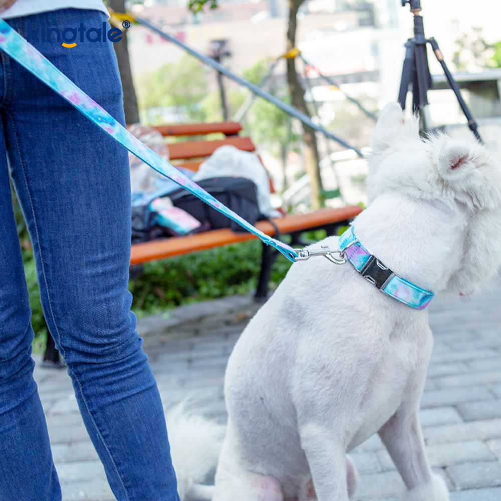 Tali Kalung Anjing Gaya Amazon Kolar Binatang Langit Berbintang Mimpi