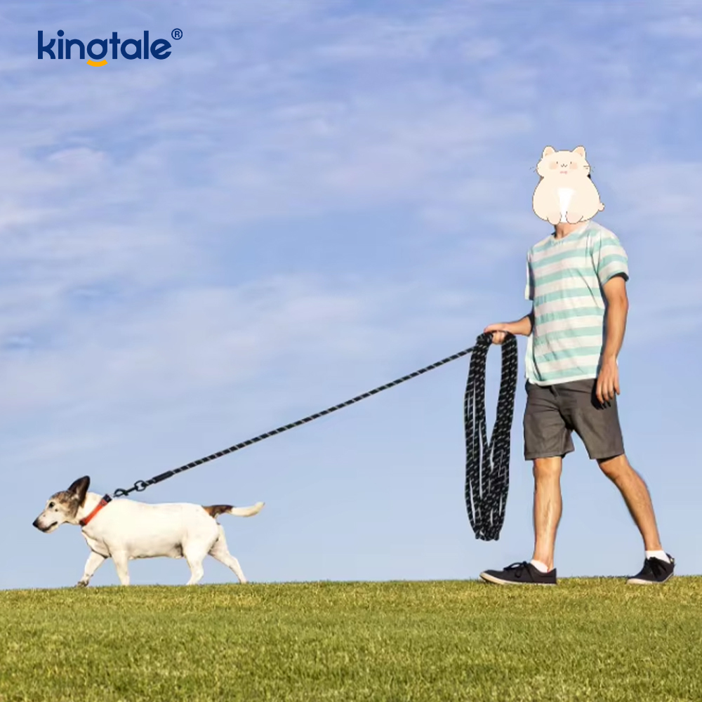 Rantai Anjing Nilon Cetakan Reflektif Kalung Haiwan Ketibaan Baru