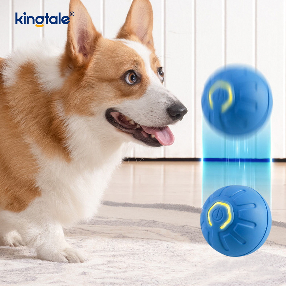 Bola Anjing Kawalan Jauh Tahan Lama Bola Berguling Aktif Automatik untuk Anjing