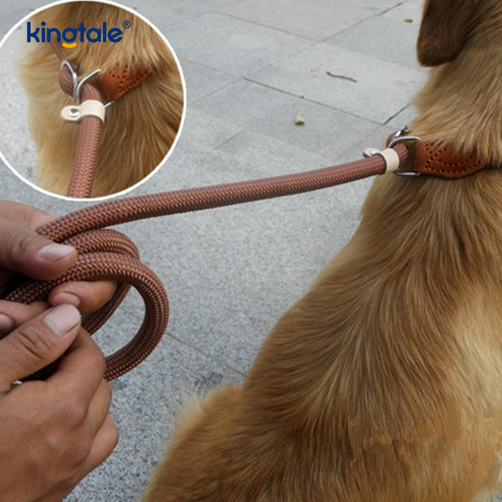 Tali P Anti-Tarik Lebih Panjang & Tebal untuk Plumbum Slip Latihan Anjing