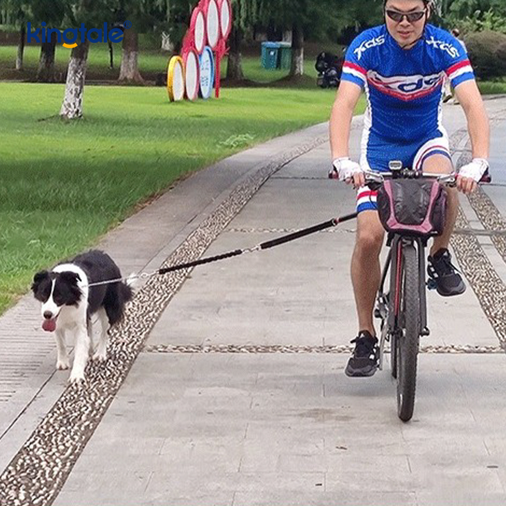 Tali Tali Anjing Basikal Tali Daya Anjing Berbasikal Bebas Tangan