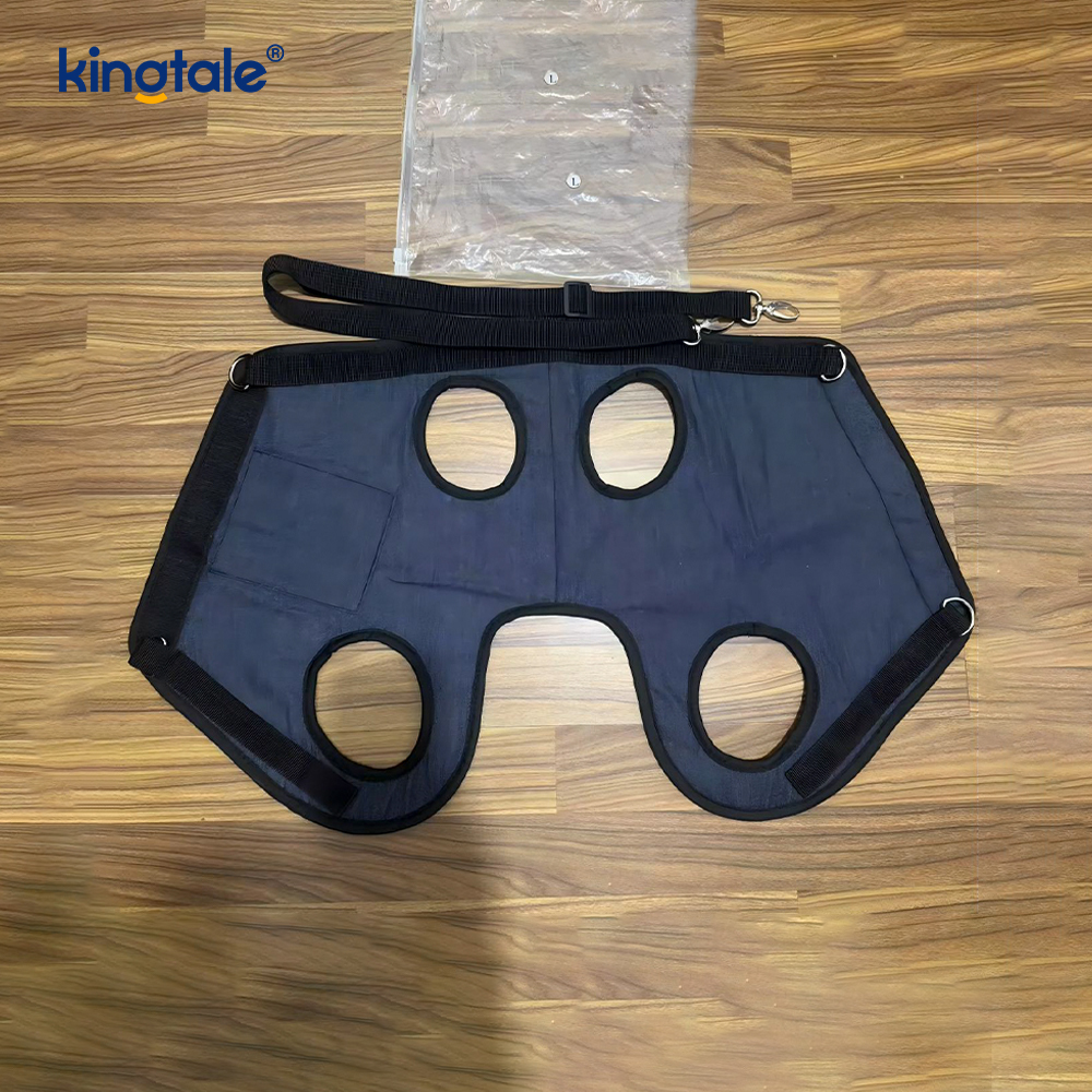 Ransel Kucing & Anjing Bahu/Beg Tangan Pembawa Dada Harness