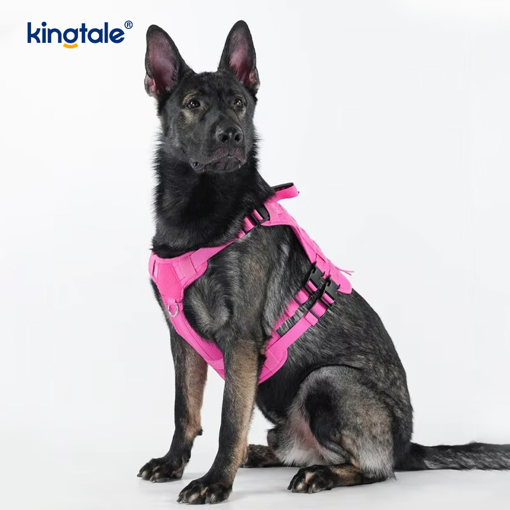 Ransel Kucing & Anjing Bahu/Beg Tangan Pembawa Dada Harness