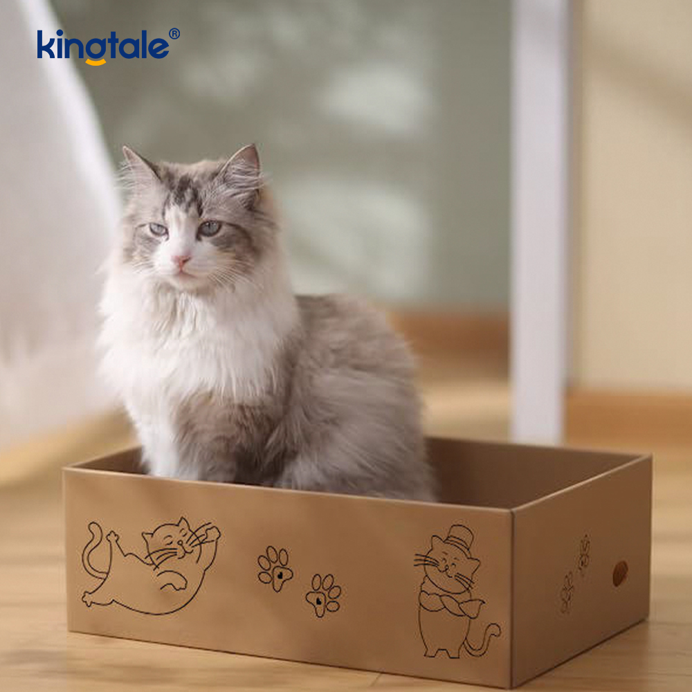 5 Pek dalam 1 Pad Calar Kucing dengan Kotak Sesuai untuk Kucing