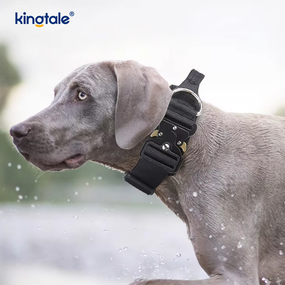 Latihan Nylon Tanpa Tarik Kolar Anjing Tali Tali Set dengan Kawalan