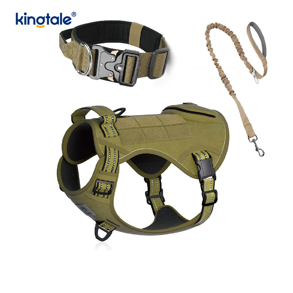 Latihan Nylon Tanpa Tarik Kolar Anjing Tali Tali Set dengan Kawalan
